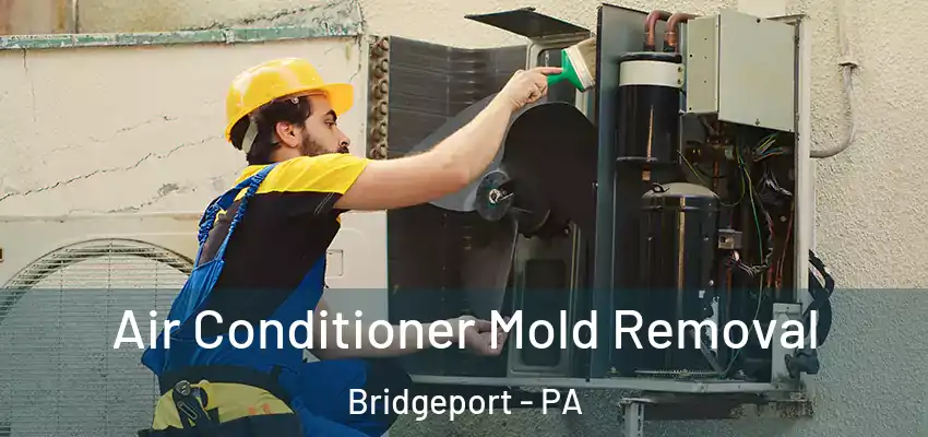  Air Conditioner Mold Removal Bridgeport - PA