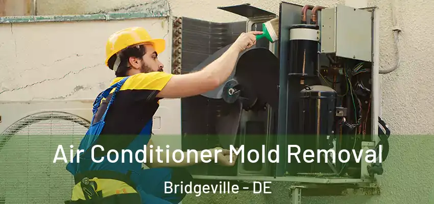  Air Conditioner Mold Removal Bridgeville - DE