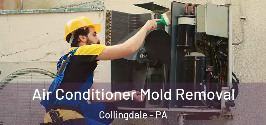 Air Conditioner Mold Removal Collingdale - PA