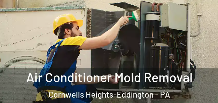  Air Conditioner Mold Removal Cornwells Heights-Eddington - PA