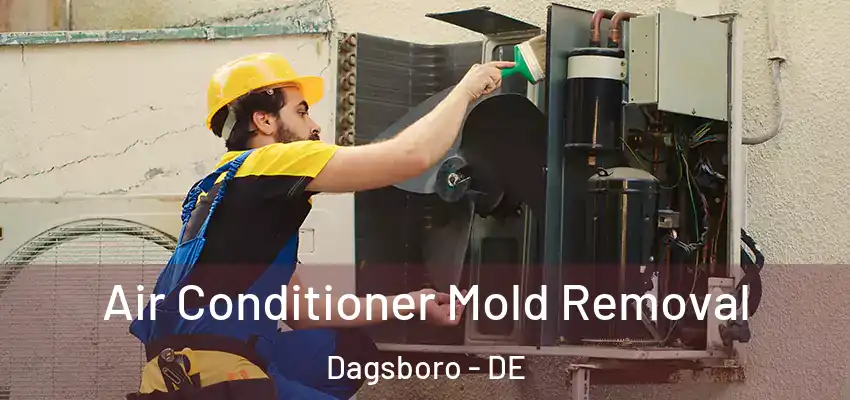 Air Conditioner Mold Removal Dagsboro - DE