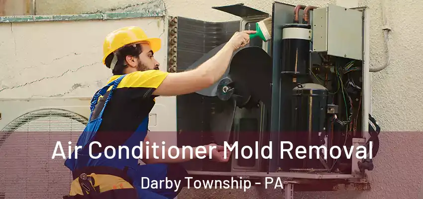 Air Conditioner Mold Removal Darby Township - PA