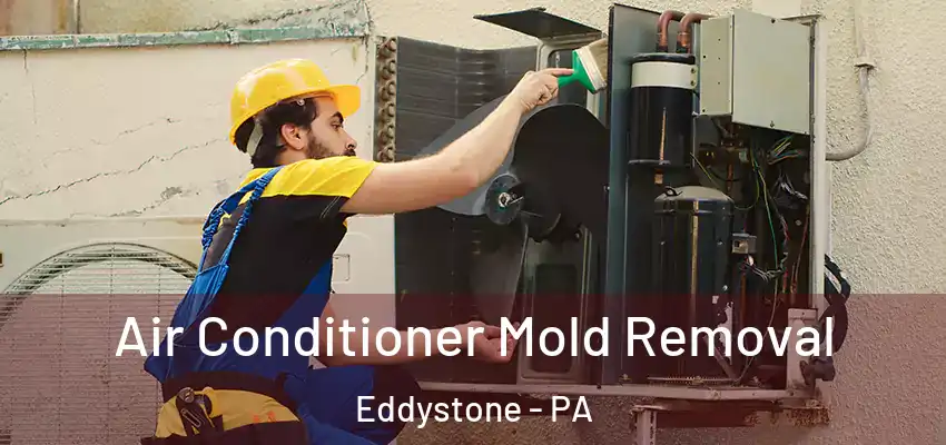  Air Conditioner Mold Removal Eddystone - PA