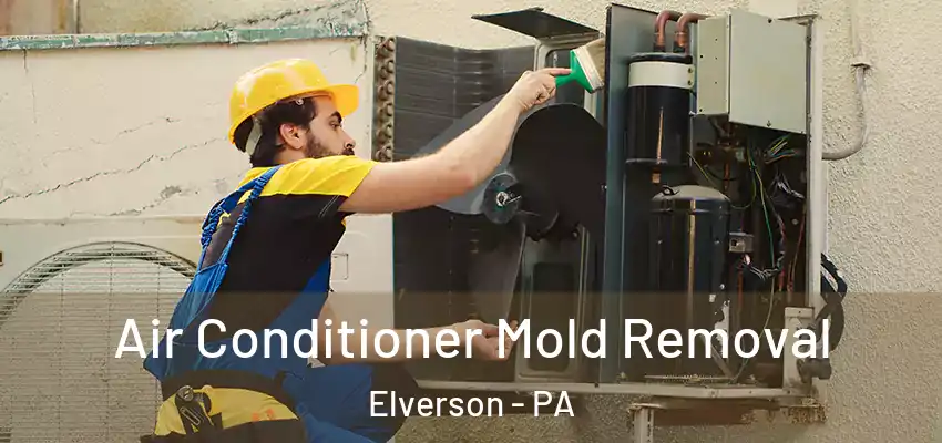  Air Conditioner Mold Removal Elverson - PA