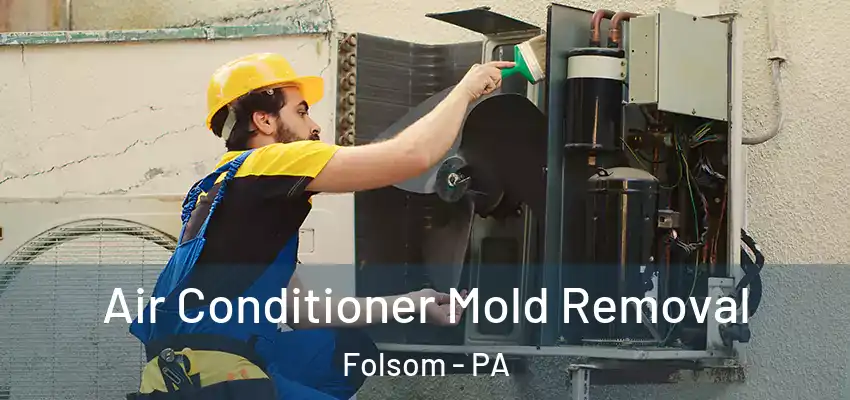  Air Conditioner Mold Removal Folsom - PA