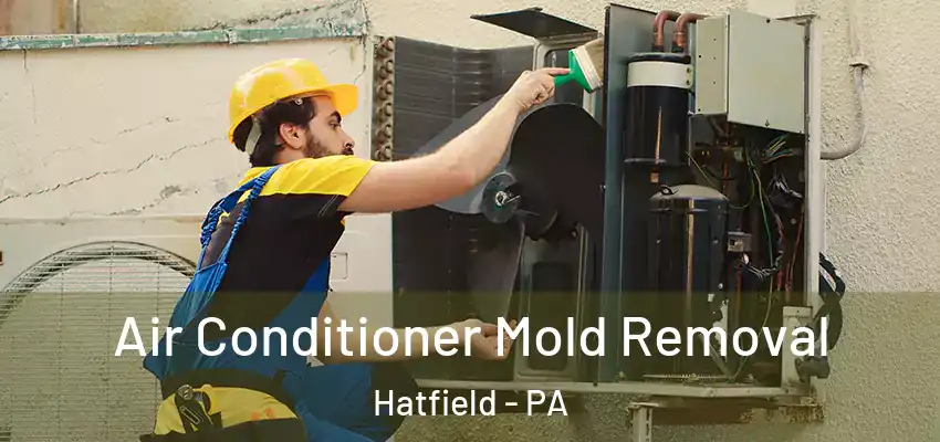 Air Conditioner Mold Removal Hatfield - PA