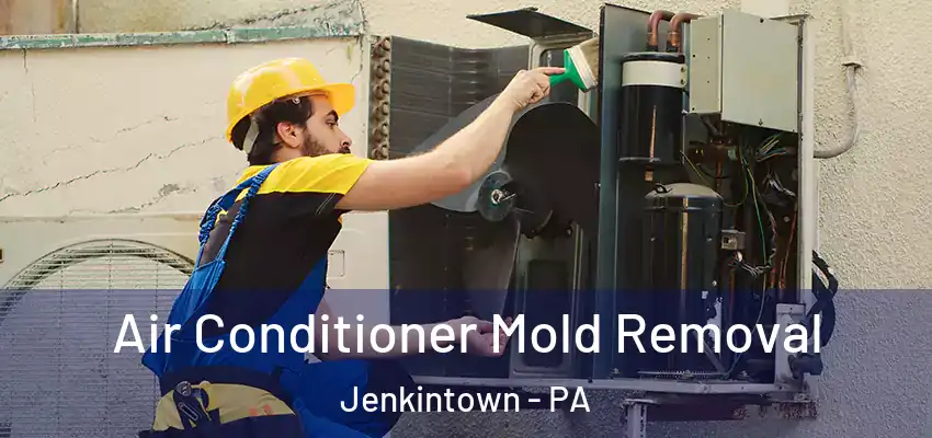 Air Conditioner Mold Removal Jenkintown - PA