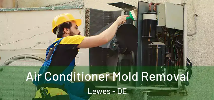  Air Conditioner Mold Removal Lewes - DE