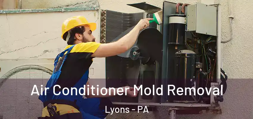 Air Conditioner Mold Removal Lyons - PA