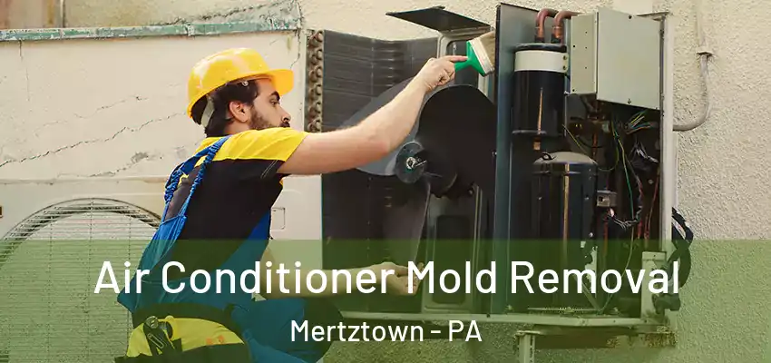 Air Conditioner Mold Removal Mertztown - PA
