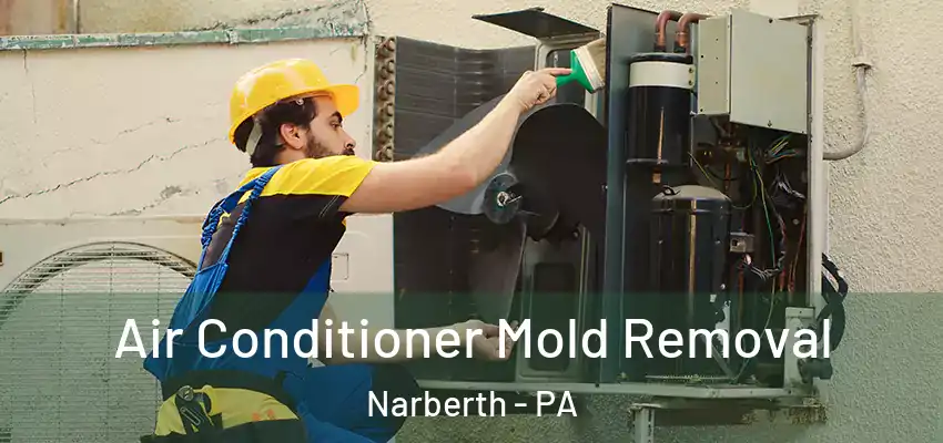 Air Conditioner Mold Removal Narberth - PA
