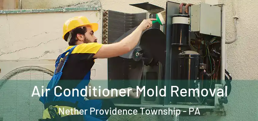 Air Conditioner Mold Removal Nether Providence Township - PA