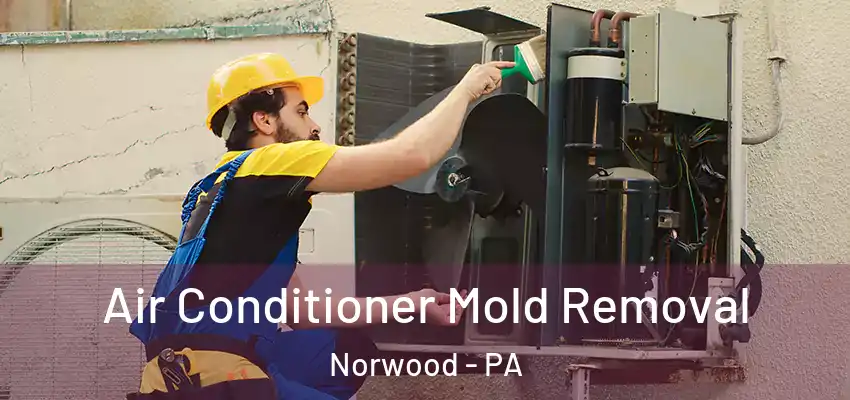 Air Conditioner Mold Removal Norwood - PA
