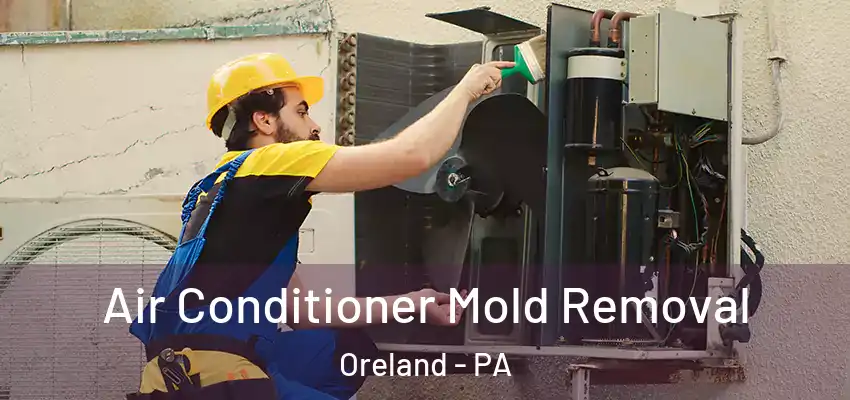  Air Conditioner Mold Removal Oreland - PA