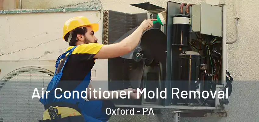 Air Conditioner Mold Removal Oxford - PA