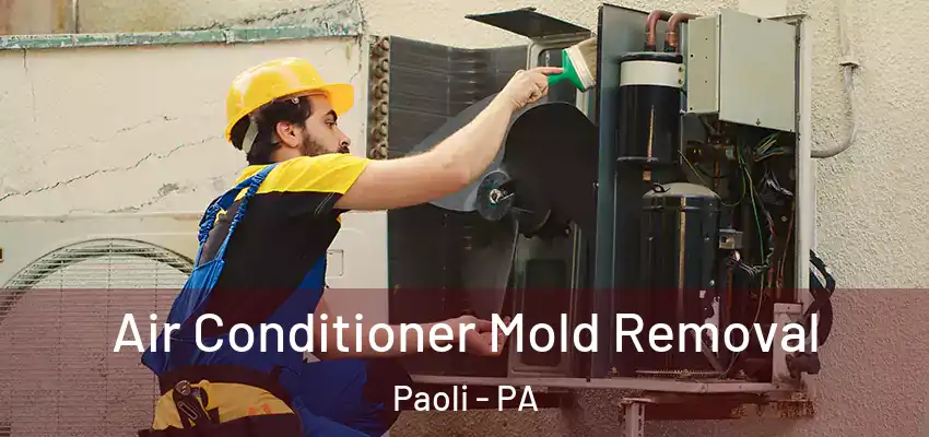  Air Conditioner Mold Removal Paoli - PA