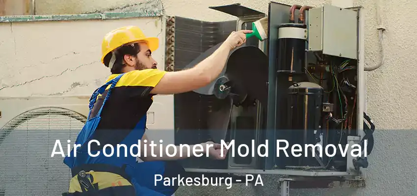Air Conditioner Mold Removal Parkesburg - PA