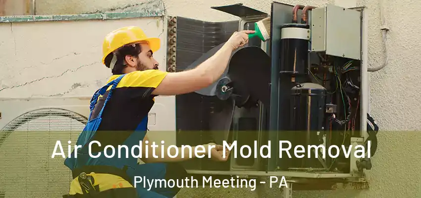 Air Conditioner Mold Removal Plymouth Meeting - PA