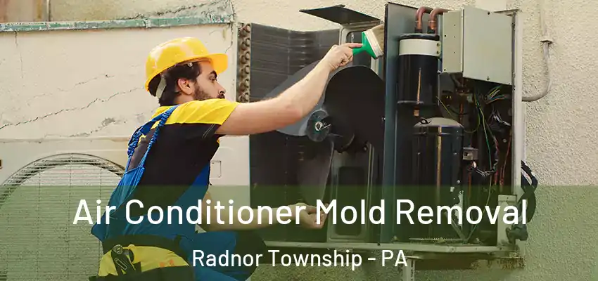 Air Conditioner Mold Removal Radnor Township - PA