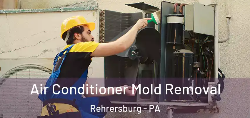 Air Conditioner Mold Removal Rehrersburg - PA
