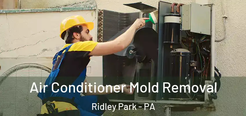 Air Conditioner Mold Removal Ridley Park - PA