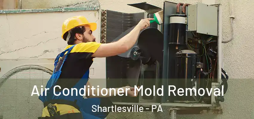  Air Conditioner Mold Removal Shartlesville - PA