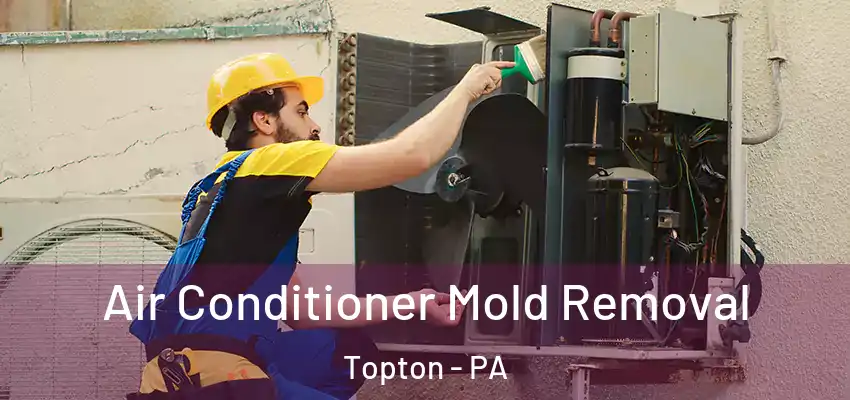  Air Conditioner Mold Removal Topton - PA