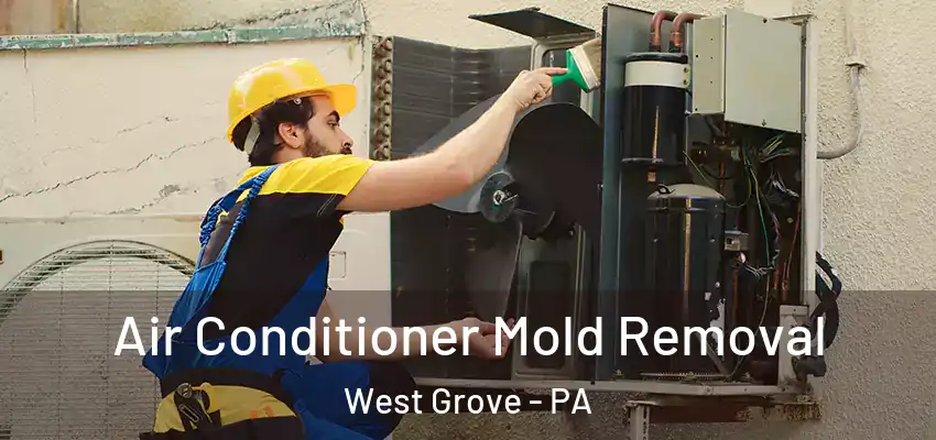 Air Conditioner Mold Removal West Grove - PA