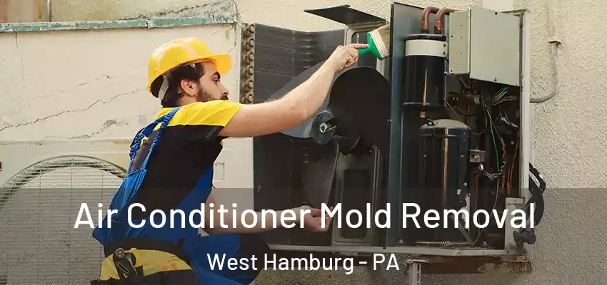Air Conditioner Mold Removal West Hamburg - PA
