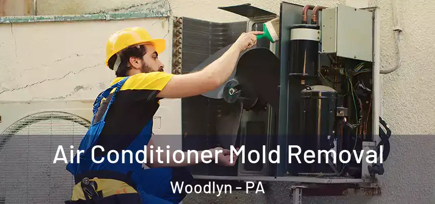 Air Conditioner Mold Removal Woodlyn - PA