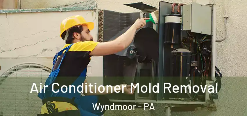 Air Conditioner Mold Removal Wyndmoor - PA