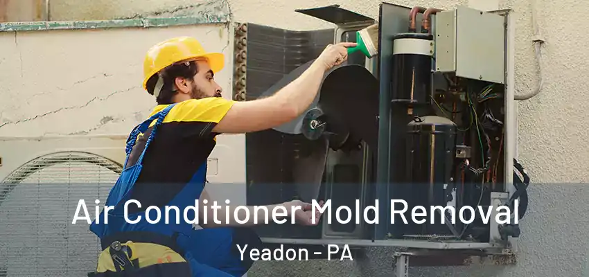  Air Conditioner Mold Removal Yeadon - PA