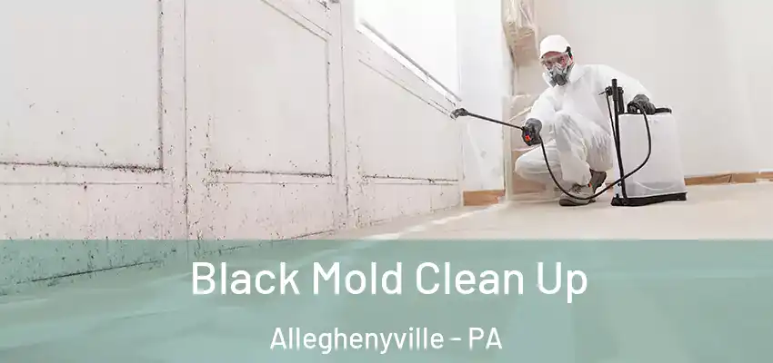 Black Mold Clean Up Alleghenyville - PA
