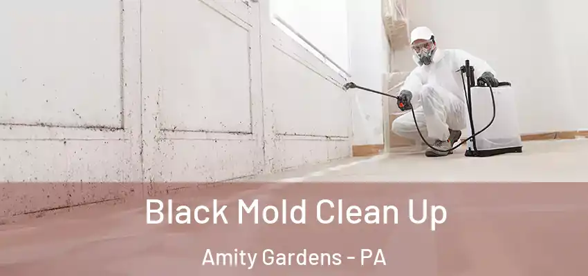 Black Mold Clean Up Amity Gardens - PA