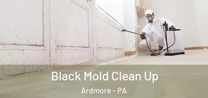  Black Mold Clean Up Ardmore - PA