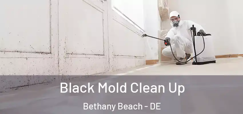  Black Mold Clean Up Bethany Beach - DE