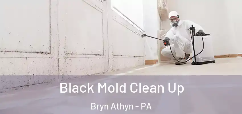  Black Mold Clean Up Bryn Athyn - PA