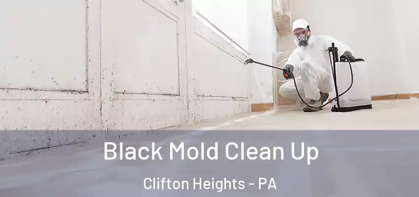 Black Mold Clean Up Clifton Heights - PA