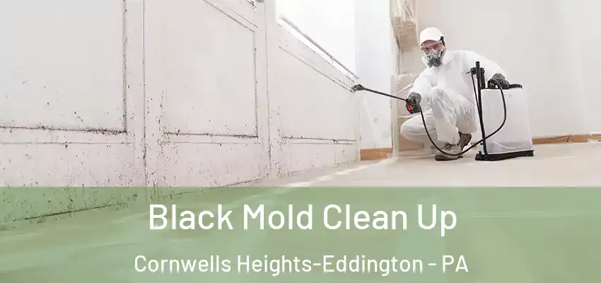 Black Mold Clean Up Cornwells Heights-Eddington - PA