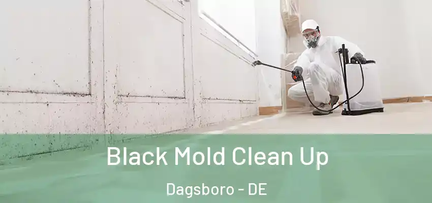  Black Mold Clean Up Dagsboro - DE