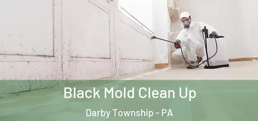 Black Mold Clean Up Darby Township - PA