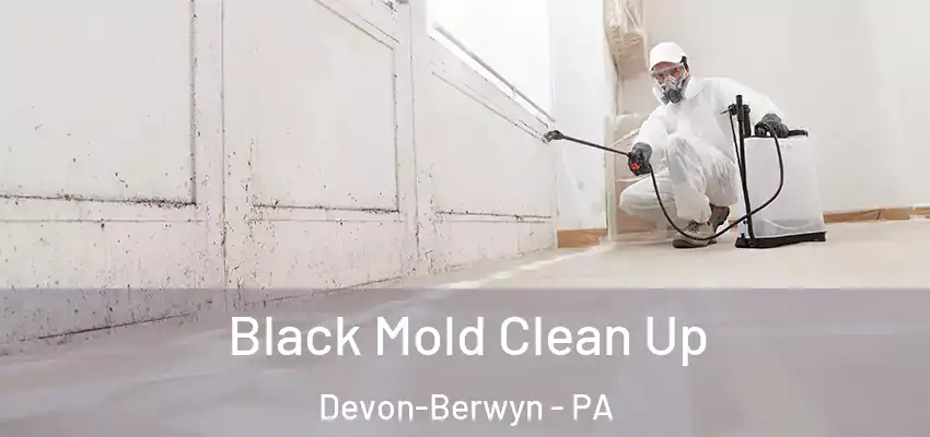  Black Mold Clean Up Devon-Berwyn - PA