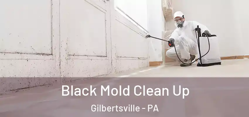 Black Mold Clean Up Gilbertsville - PA