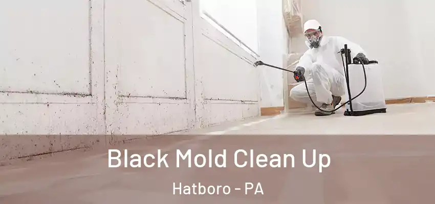 Black Mold Clean Up Hatboro - PA