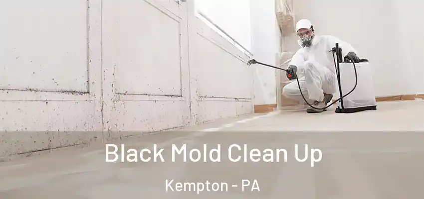 Black Mold Clean Up Kempton - PA