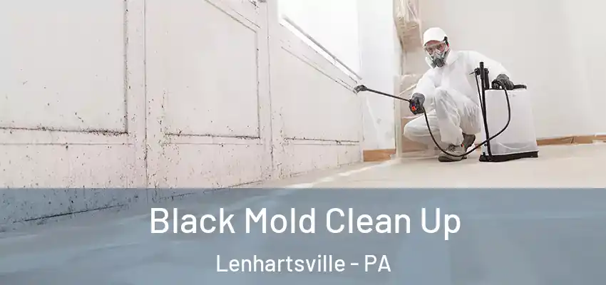 Black Mold Clean Up Lenhartsville - PA