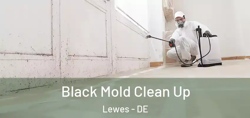 Black Mold Clean Up Lewes - DE