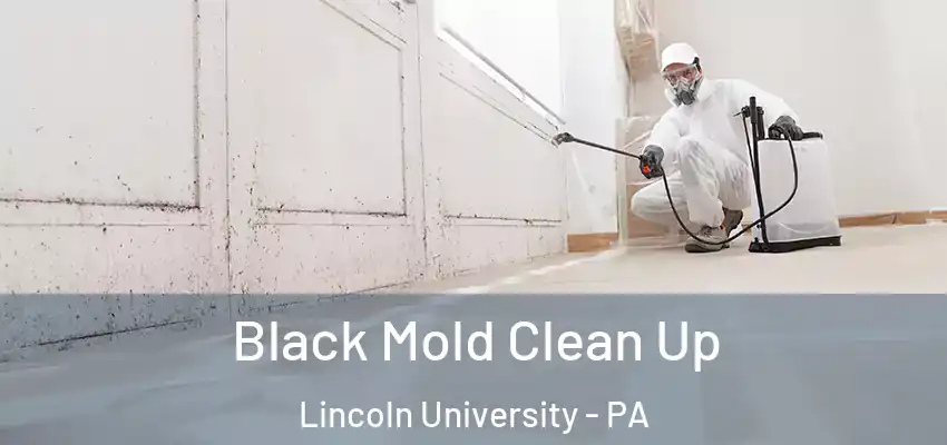  Black Mold Clean Up Lincoln University - PA