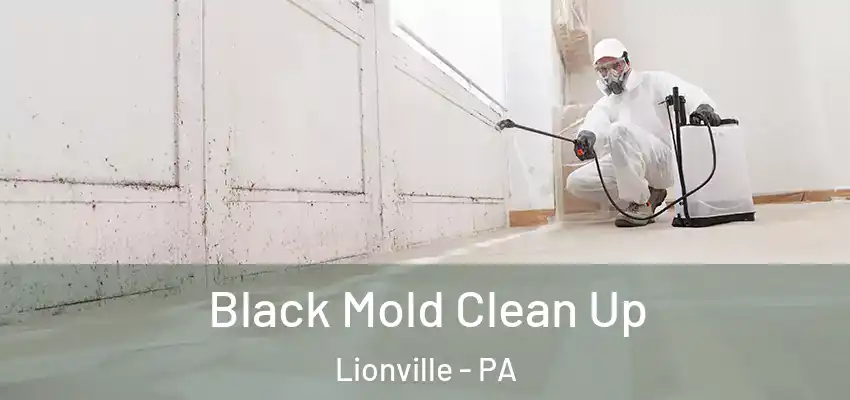 Black Mold Clean Up Lionville - PA