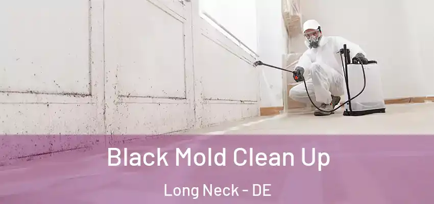 Black Mold Clean Up Long Neck - DE